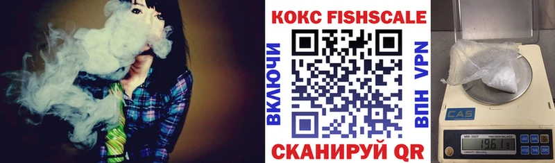 КОКАИН Fish Scale  гидра зеркало  Вуктыл  купить  